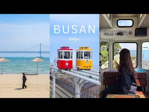 【釜山旅行 6日間(4K)】 美味しいグルメとカフェを堪能する旅 ┃ 海雲台,広安里,西面おすすめスポット