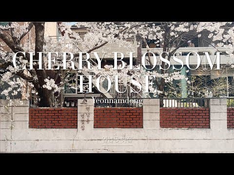 SPRING TIME - Yeonnamdong Cherry Blossom House / 연남동 벚꽃집