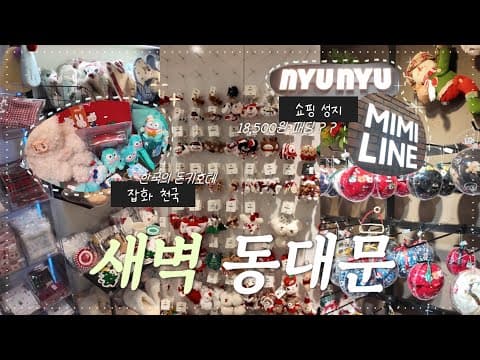 새벽 동대문 쇼핑 성지 방문기🛍️💸 | 뉴뉴 | 미미라인 | 짝퉁 시장 | 쇼핑 하울 + 쿠키 영상🍪
