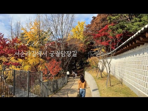 [서울] 서순라길에서 궁궐담장길. 맛집 대성성, 익선동 맛있는 치즈케익