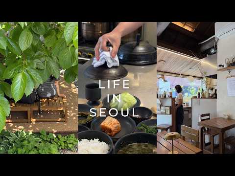 Seoul Vlog - Spring Days | Trending Cafes, Food & Shops | Yeouido to Jamsil Lotte | City Walk