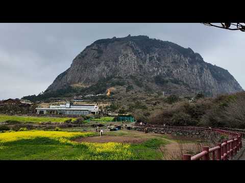 Jeju, South Korea: Solo Travel Vlog [Ep. 2]