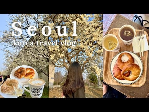 soft spring days in Seoul 🇰🇷 cafes hopping 🥯, michelin samgyetang, skin analysis, exploring seongsu