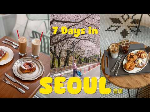 7 days in Seoul 🇰🇷 首爾 (new cafes, shopping, local food, cherry blossoms) | seoul trip