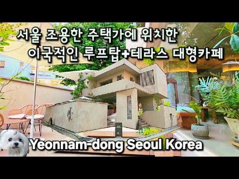 4K서울 조용한 주택가에 위치한 이국적인 루프탑과+테라스가 있는 대형카페 Cafe  PITC/홍대 연남동 성산동 테라스 루프탑 대형카페/Seoul Korean Cafe