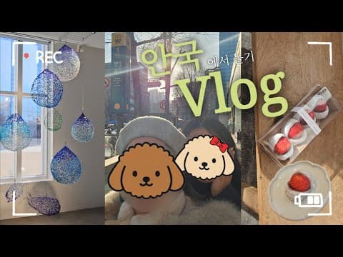 안국에서 하루 브이로그 | 서울 공예박물관 | 키세카츠 안국 | ETF 베이커리 | 자이소 딸기찹쌀떡 🍓
