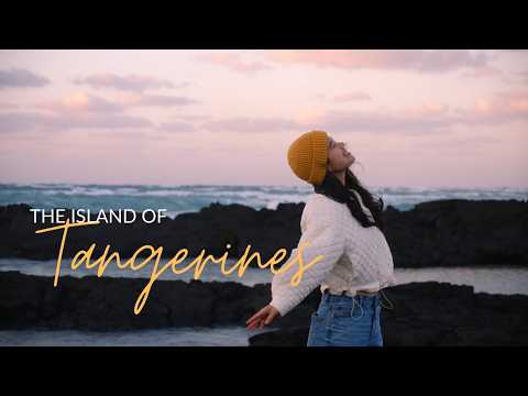 everything i loved about jeju island // south korea vlog: v