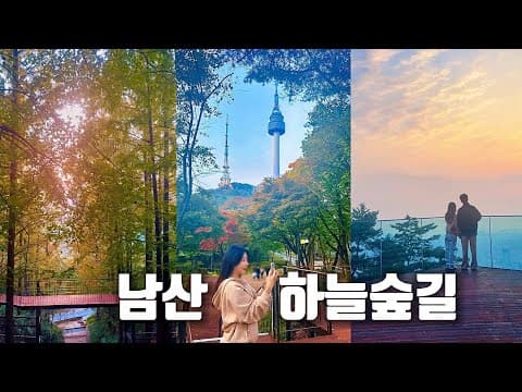 [지하철 여행] 남산으로 가을 단풍🍁 나들이 어때요?🌿 서울 도심 속 힐링 숲길 오픈!지난주 새로 개통된 남산 하늘숲길