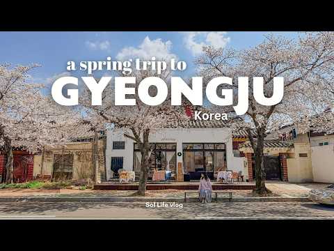 Spring trip to Gyeongju, Korea | Cherry Blossom Spots, Local Food | Spring in Korea VLOG 🌸