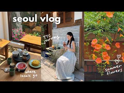 seoul vlog 🧚🏻 aesthetic cafes, increasing my BMI for TTC, trumpet vine season, terrace weather