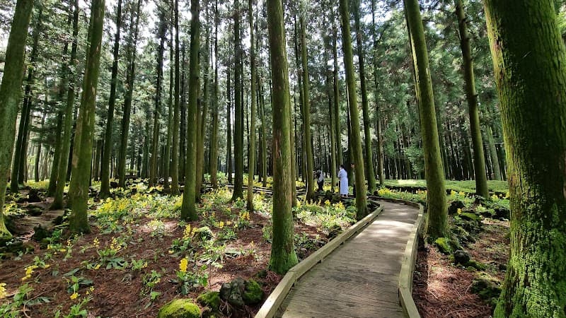 Jeju Jeolmul Natural Recreation Forest