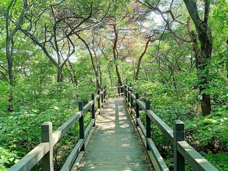Yeouido Park