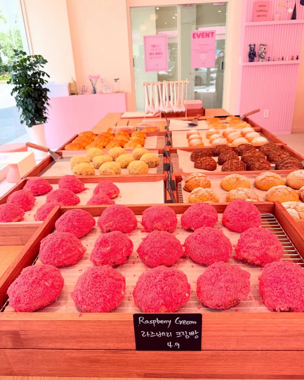 PINK OVEN Seoul Forest