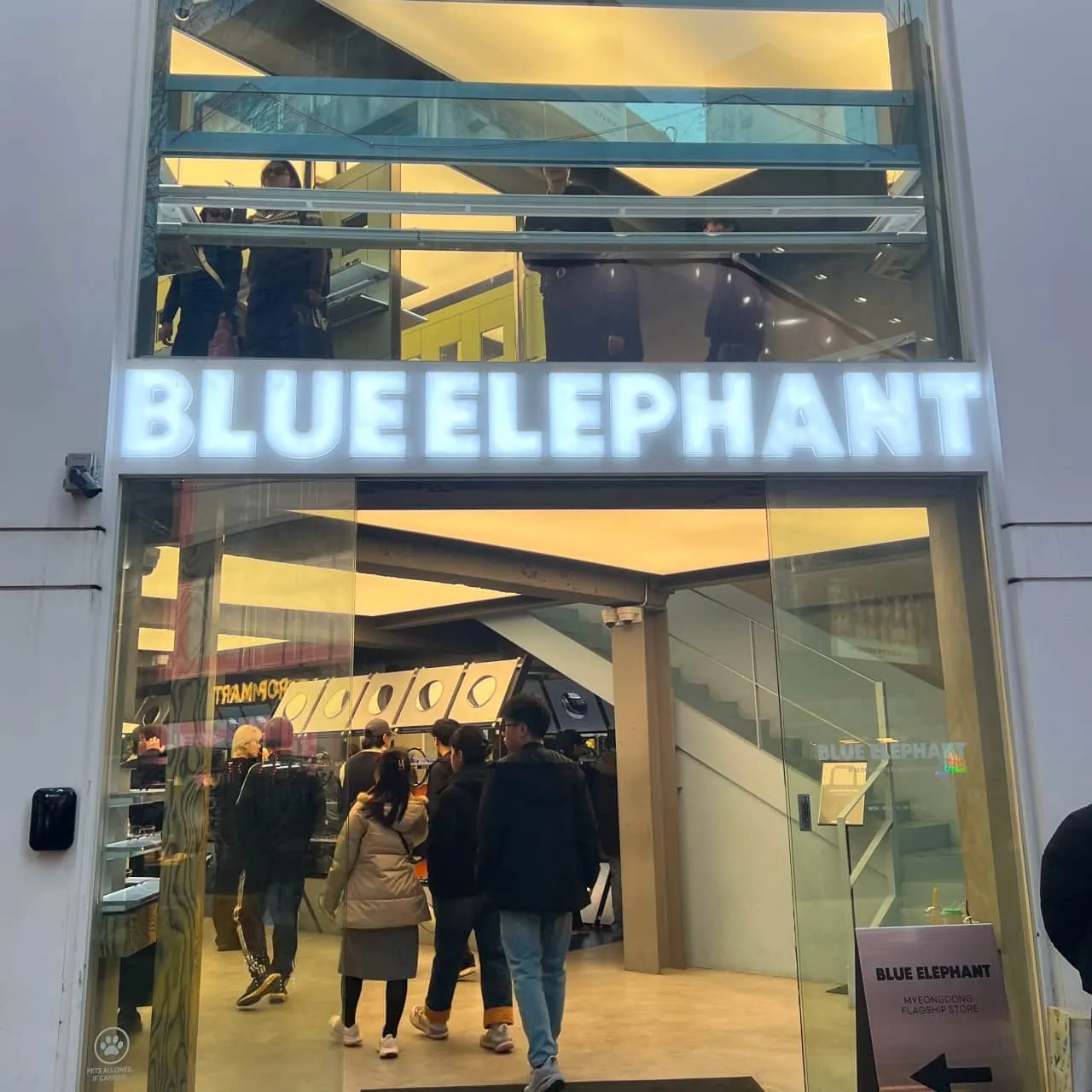 BLUE ELEPHANT MYEONGDONG FLAGSHIP