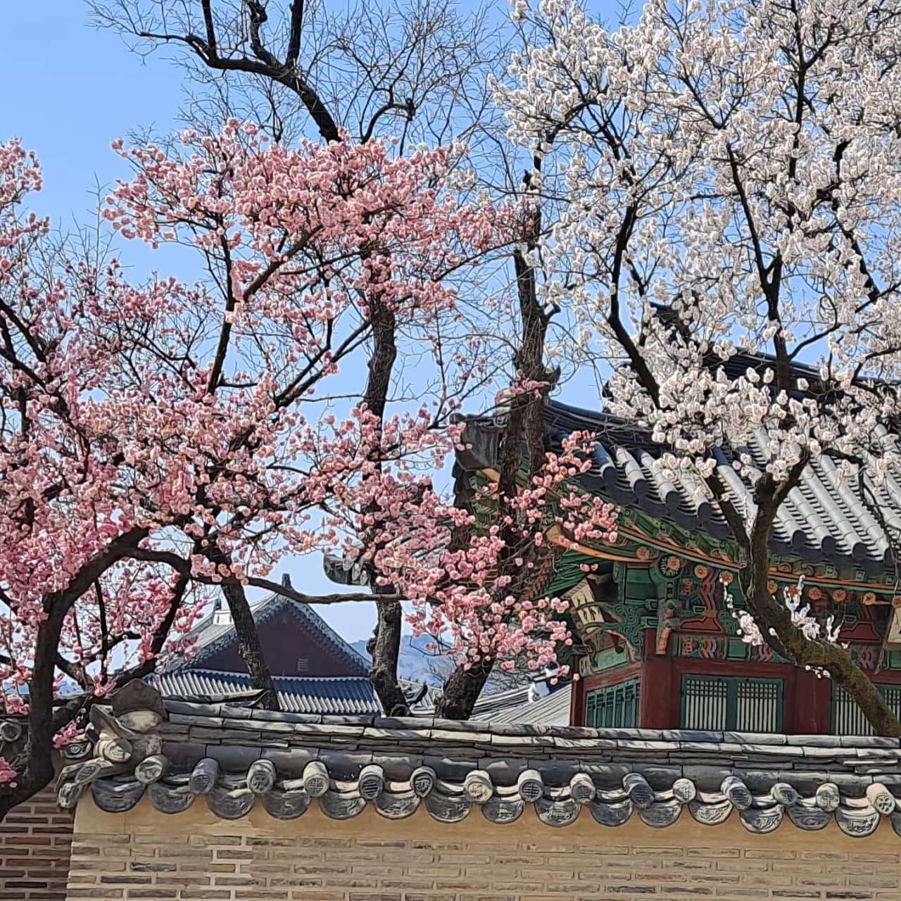 Changdeokgung Palace