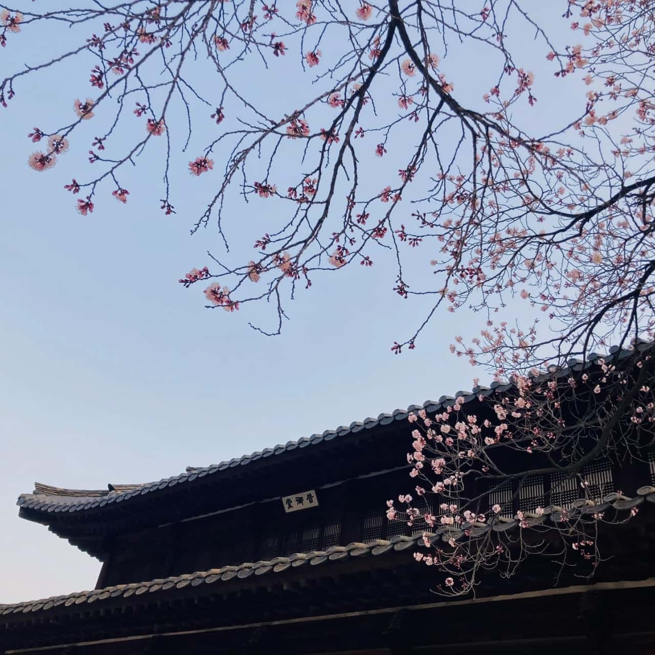덕수궁