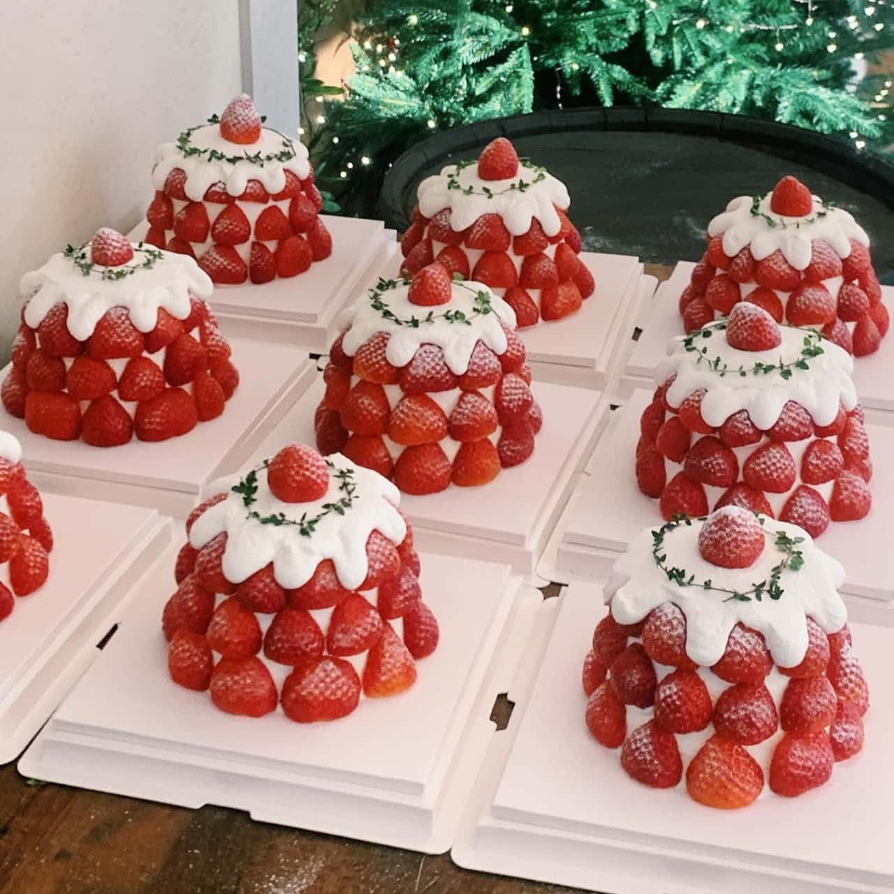 Rafre Fruit Seochon