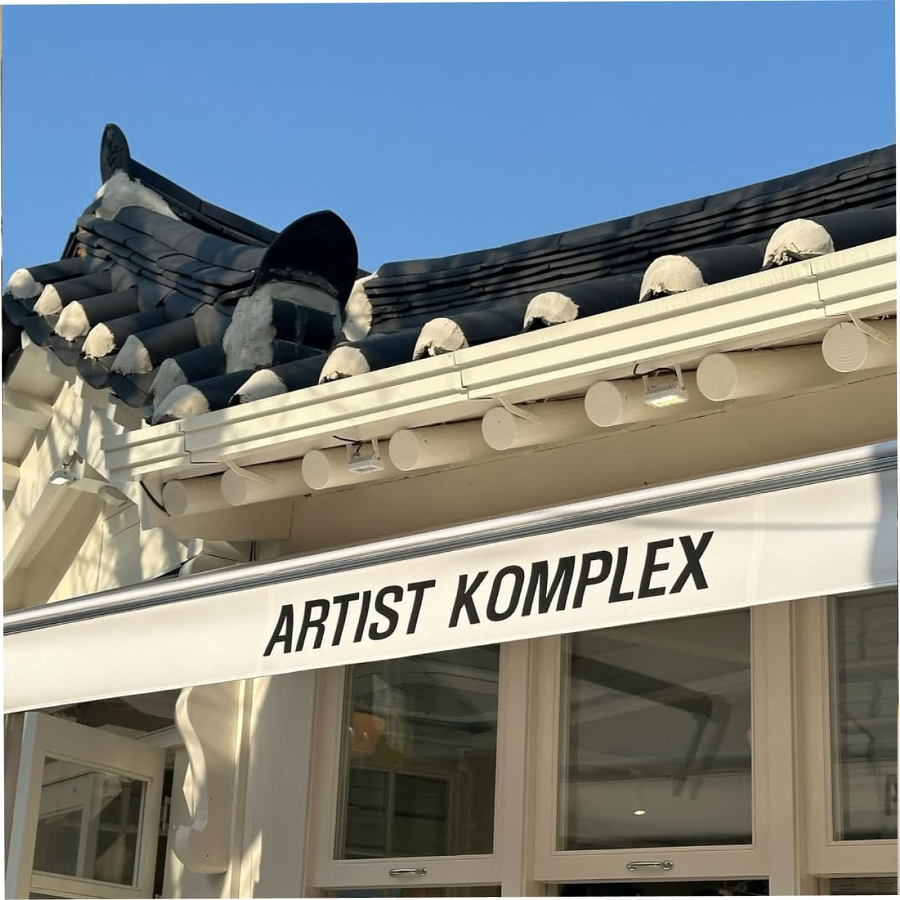 ARTIST KOMPLEX Anguk