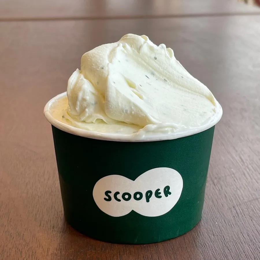 SCOOPER GELATO Seochon