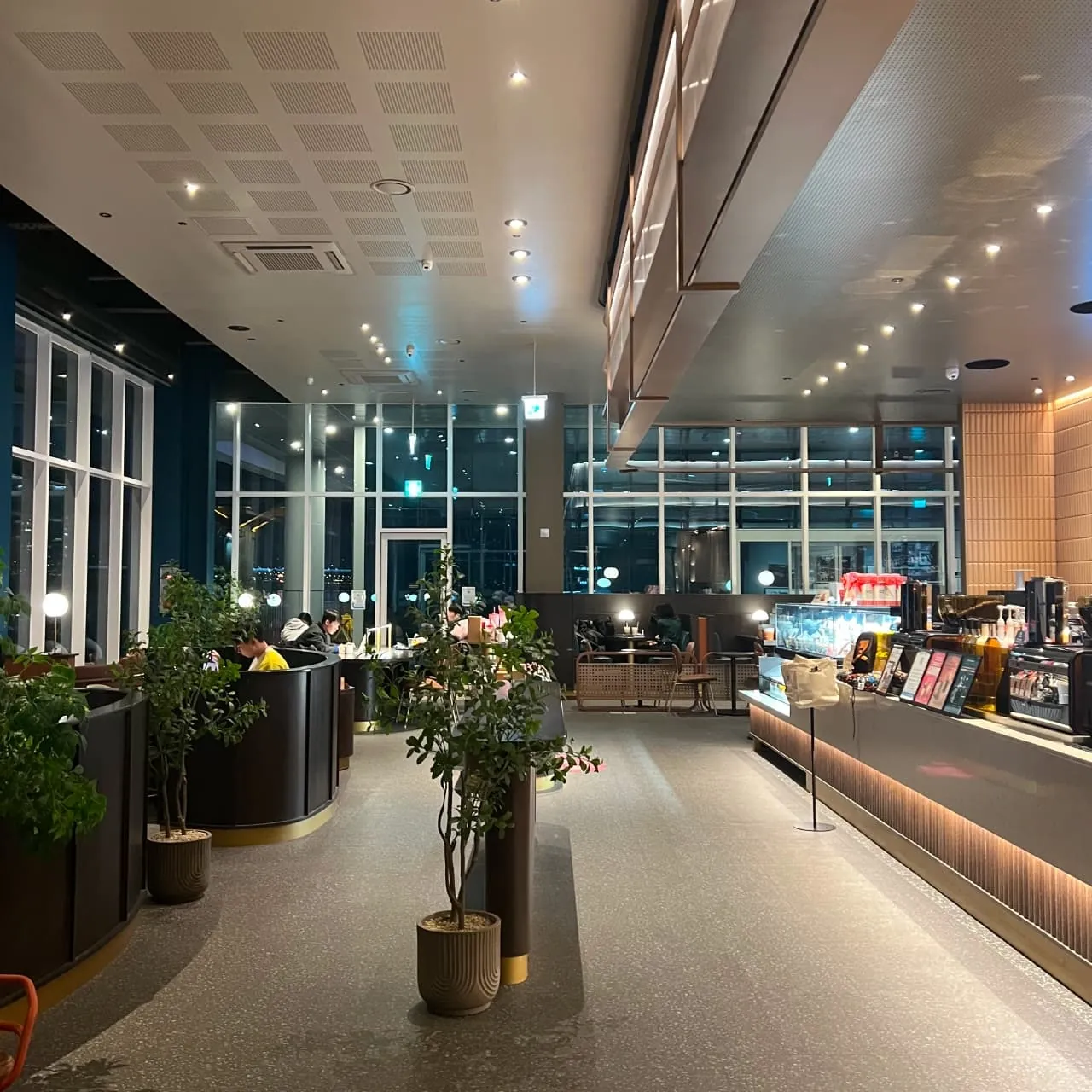 Starbucks 纛島漢江公園