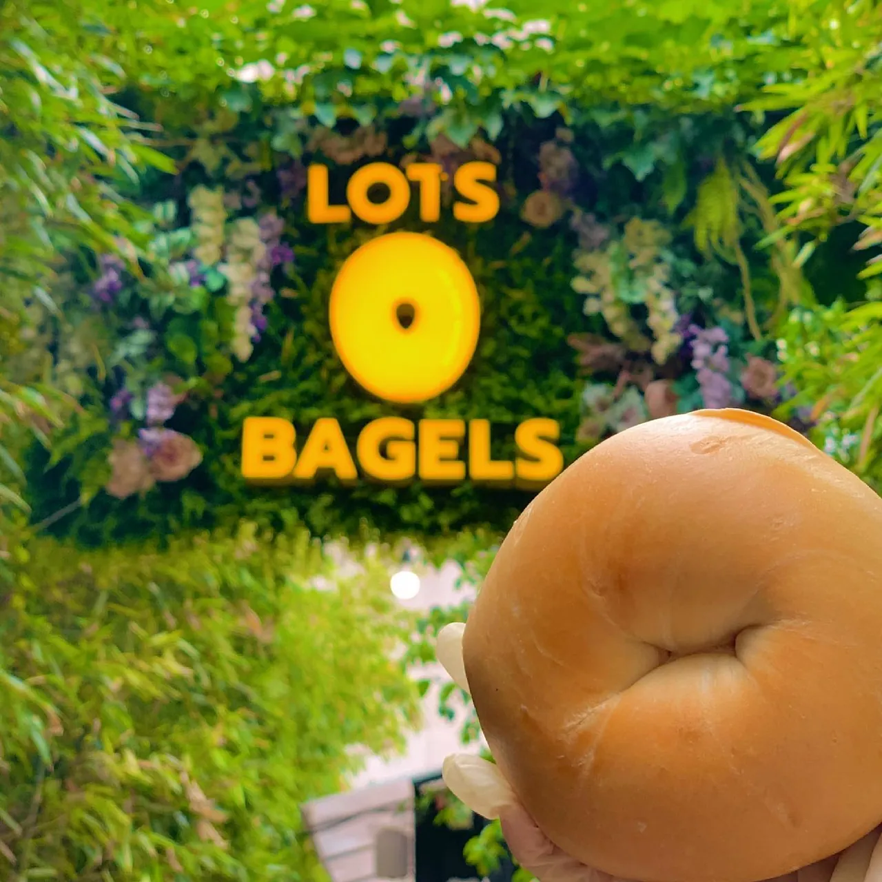 New York Lots O Bagels