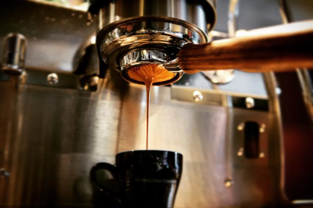 Belief Coffee Roasters
